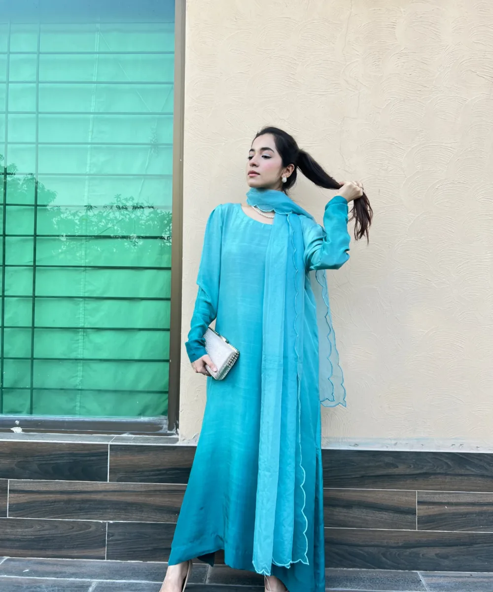 Alternative view of NISSA